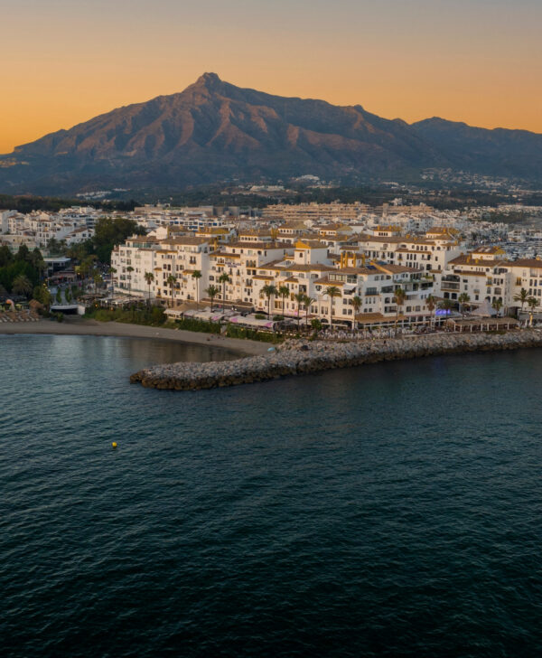 0050cc267f11112788fc4d56feeb3264-aspect-ratio-600-728