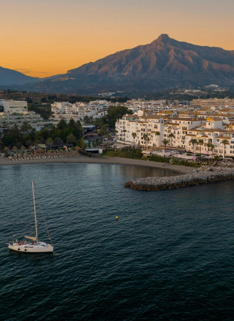 0050cc267f11112788fc4d56feeb3264-aspect-ratio-800-1100