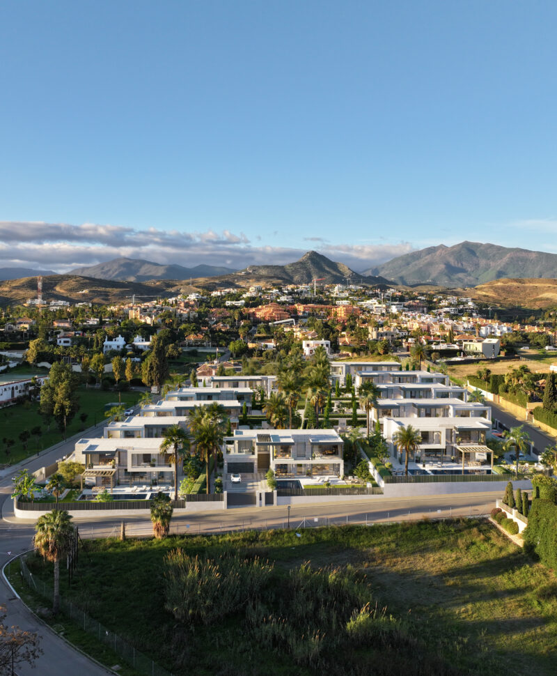 Complex_I-aspect-ratio-800-970