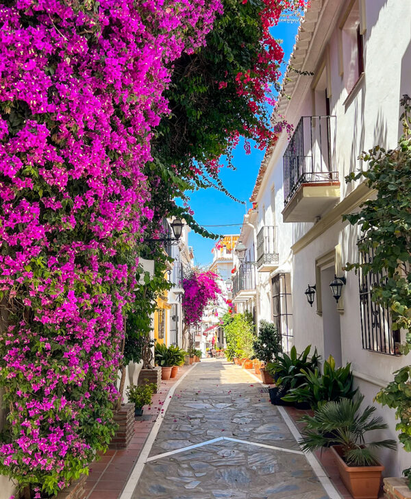 Rectangle-294-1-aspect-ratio-600-728