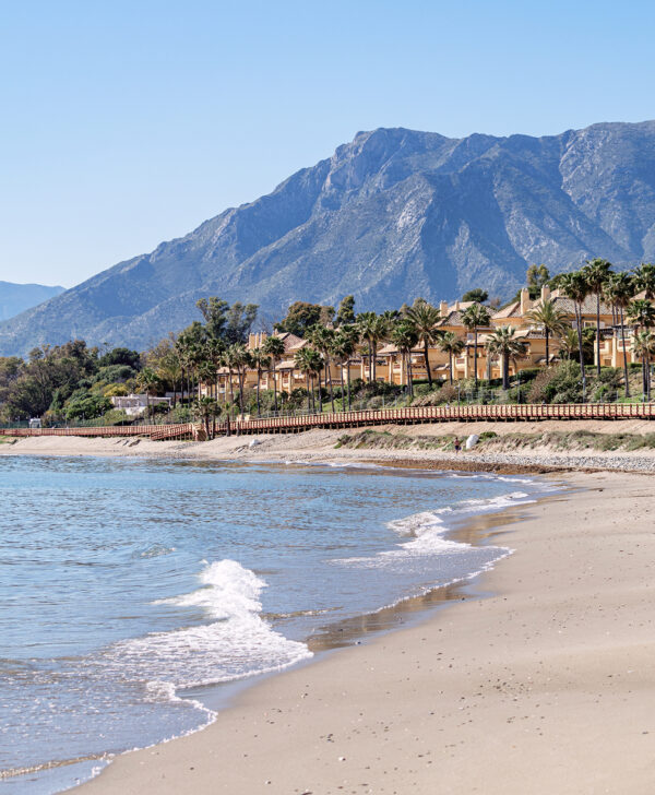 Rectangle-295-1-aspect-ratio-600-728