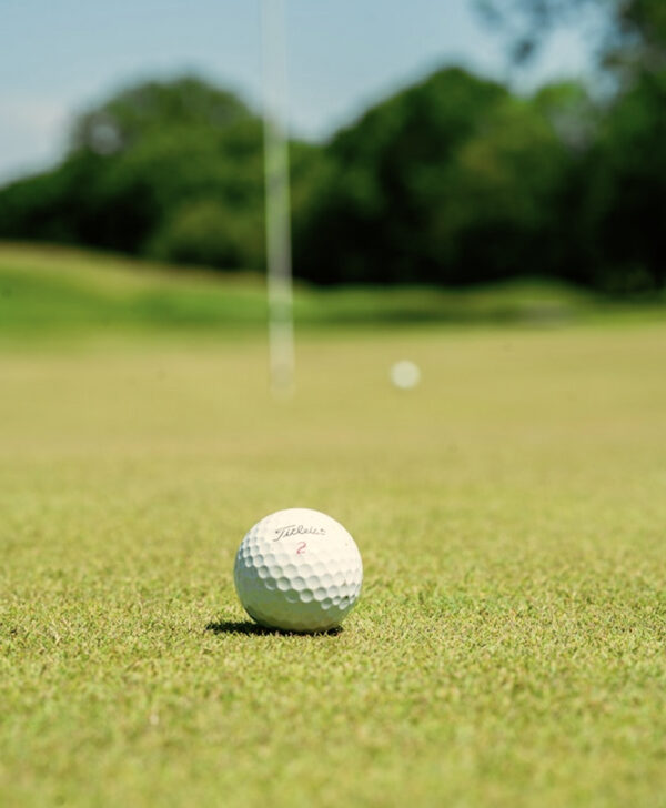 Rectangle-299-aspect-ratio-600-728