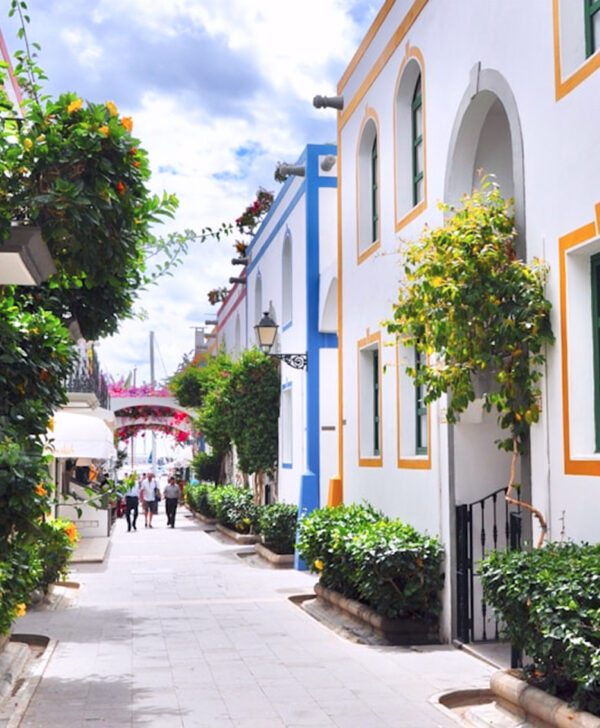 Rectangle-302-aspect-ratio-600-728